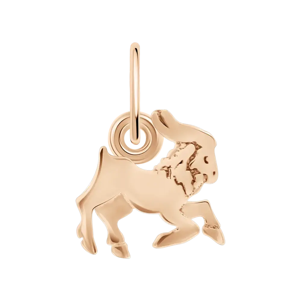 Product image 1 of the product “Zodiac Sign Pendant Capricorn ”