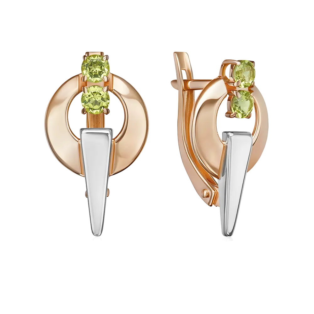 Artikelbild 1 des Artikels “Ohrringe „Ring mit Dorn“ aus 585 Bicolor-Gold “