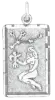 Artikelbild 1 des Artikels “Anhänger Sternzeichen Jungfrau aus 925 Silber, Höhe 34 mm “