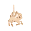 Product image 1 of the product “Zodiac Sign Pendant Capricorn ”