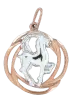 Artikelbild 1 des Artikels “Anhänger Sternzeichen Steinbock aus 585 Bicolor-Gold, Höhe 30 mm “