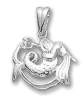 Product image 1 of the product “Zodiac Sign Pendant Aquarius in 925 Sterling Silver, Height 30 mm ”