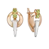 Artikelbild 1 des Artikels “Ohrringe „Ring mit Dorn“ aus 585 Bicolor-Gold “
