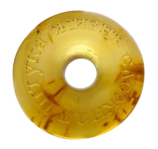 Product image 1 of the product “Pendant “Engraved Disc” with Amber ”