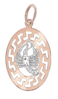 Artikelbild 1 des Artikels “Anhänger Sternzeichen Krebs aus 585 Bicolor-Gold, Höhe 30 mm “