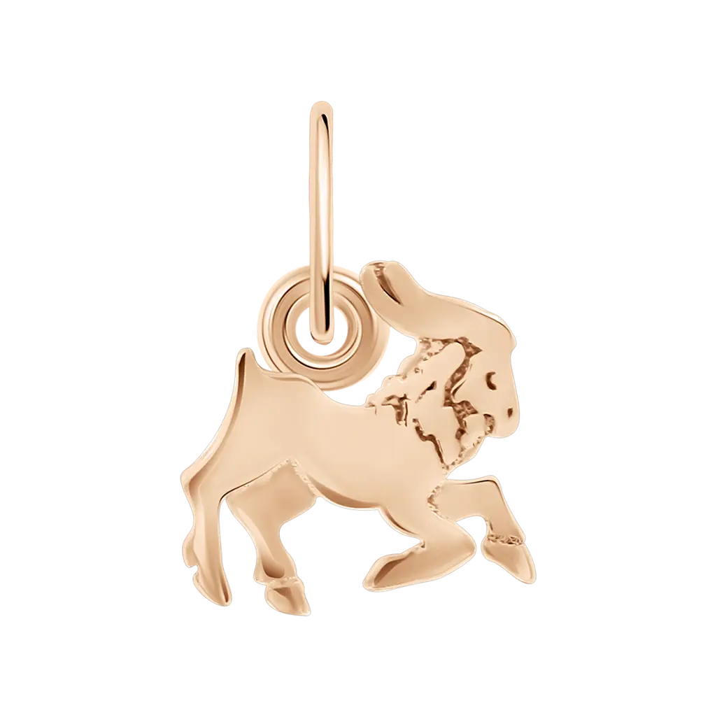 Product image 1 of the product “Zodiac Sign Pendant Capricorn ”