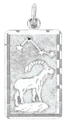 Product image 1 of the product “Zodiac Sign Pendant Capricorn in 925 Sterling Silver, Height 34 mm ”