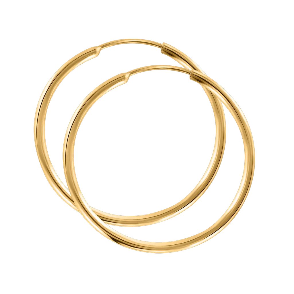 Product image 1 of the product “Earrings “Smooth Hoops” in 585 Yellow Gold, Ø 25 mm ”