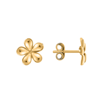 Attraktive Ohrstecker aus Gelbgold 585 