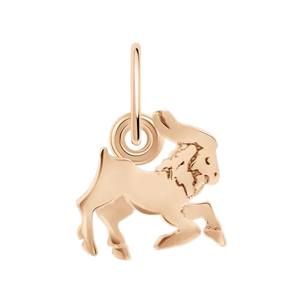 Artikelbild des Artikels “Anhänger Sternzeichen Steinbock “