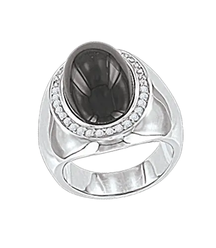 Artikelbild des Artikels “Damenring „Oval im Steinbogen“ aus 925 Silber mit Zirkonia und Onyx “