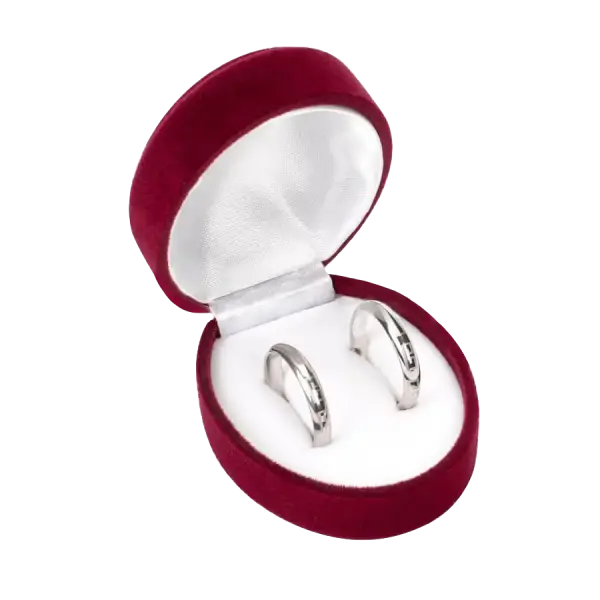 Artikelbild des Artikels “Etui für Ringe “