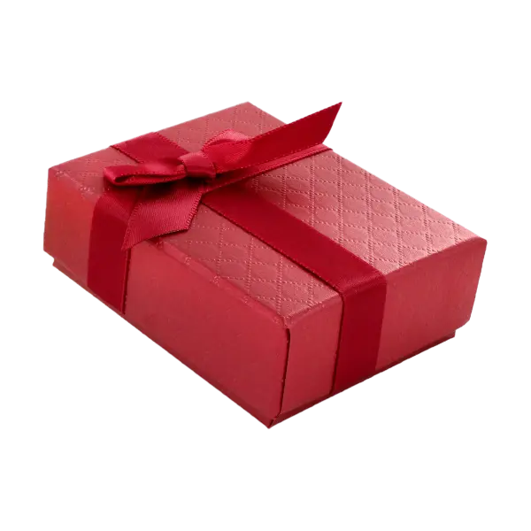 Artikelbild des Artikels “Etui für Set “