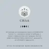Изображение 2 товара «Колье «Диск с лотосом» из серебра 925 пробы »