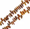 Product image 2 of the product “Chain “Reddish-Brown Sticks” with Amber ”