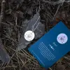 Изображение 3 товара «Колье «Диск с оком в треугольнике» из серебра 925 пробы »