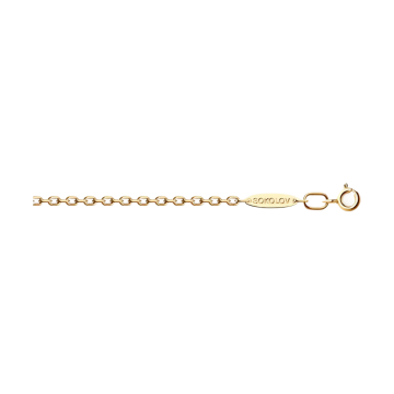 Gold-plated silver chain 